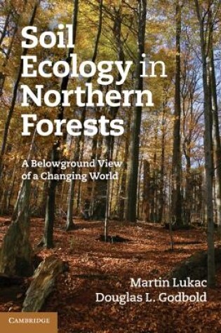 Cover of Soil Ecology in Northern Forests