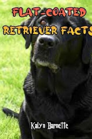 Cover of Flat-Coated Retriever Facts