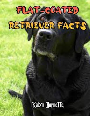 Book cover for Flat-Coated Retriever Facts