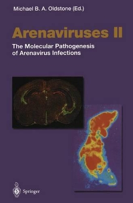 Cover of Arenaviruses II