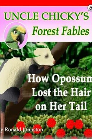 Cover of How Opossum Lost the Hair on Her Tail