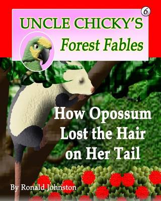 Cover of How Opossum Lost the Hair on Her Tail