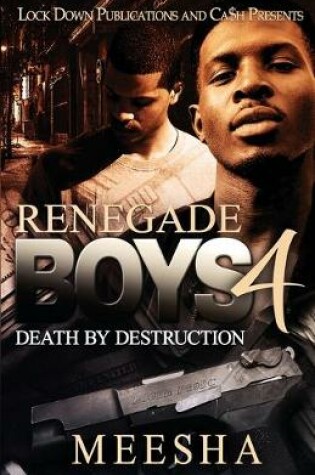 Cover of Renegade Boys 4