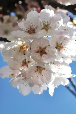 Book cover for Cherry Blossom Grid Notebook