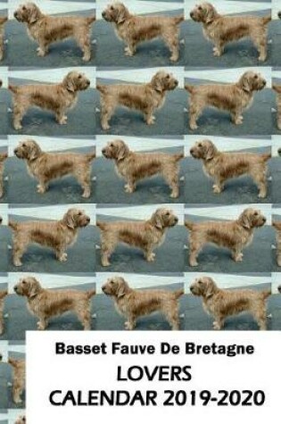 Cover of Basset Fauve De Bretagne Lovers Calendar 2019-2020