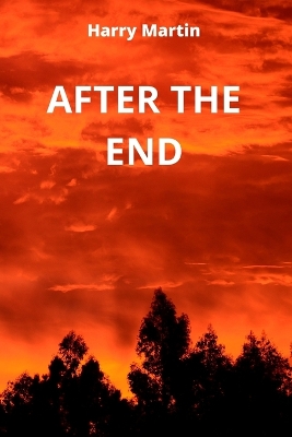 Book cover for After the End