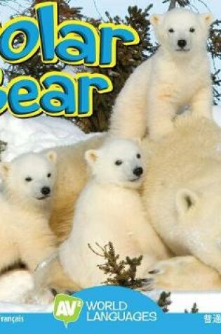 Cover of Polar Bear