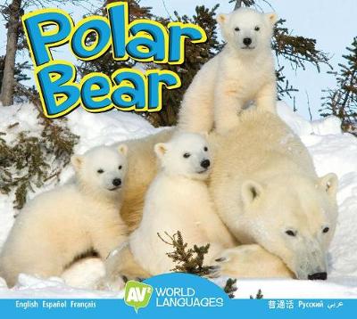Book cover for Polar Bear