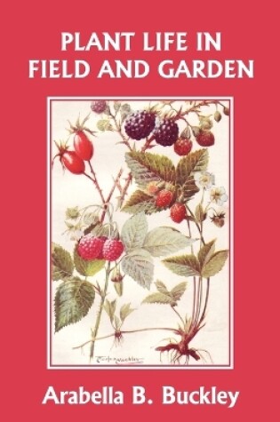 Cover of Plant Life in Field and Garden (Yesterday's Classics)