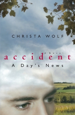 Book cover for Accident: a Day's News