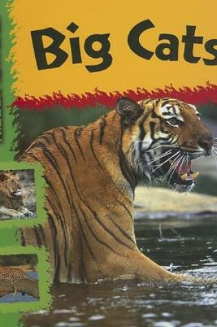 Cover of Big Cats