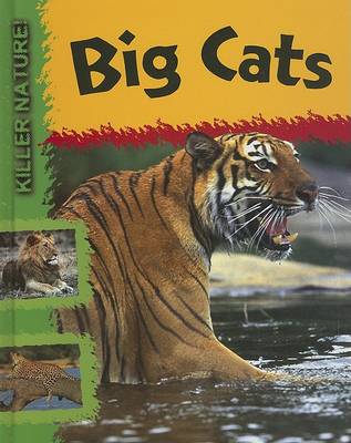 Cover of Big Cats