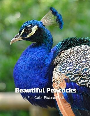 Book cover for Beautiful Peacocks Full-Color Picture Book