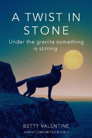 Cover of A Twist in Stone