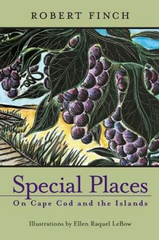 Cover of Special Places on Cape Cod and the Islands