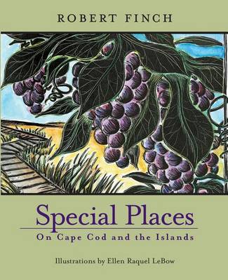 Book cover for Special Places on Cape Cod and the Islands