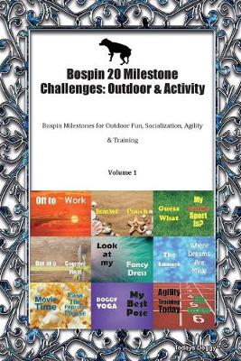 Book cover for Bospin 20 Milestone Challenges