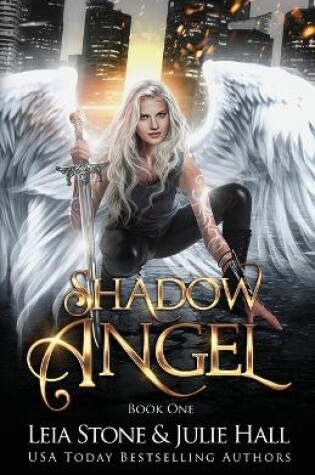 Cover of Shadow Angel