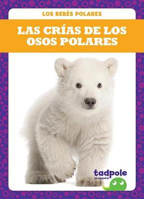 Cover of Las Crias de Los Osos Polares (Polar Bear Cubs)