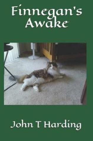 Cover of Finnegan's Awake