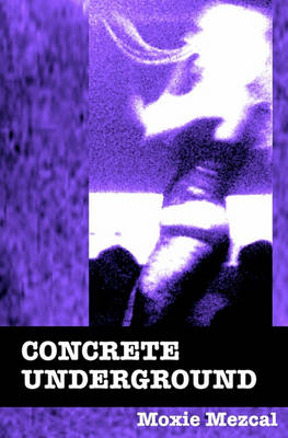 Book cover for Concrete Underground