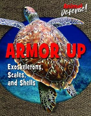 Book cover for Armor Up