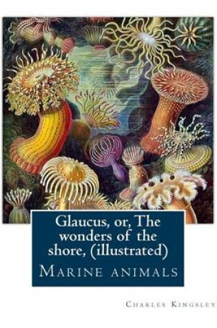 Cover of Glaucus, or, The wonders of the shore, By Charles Kingsley (illustrated)
