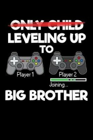 Cover of Leveling Up to Big Brother