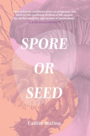 Cover of Spore or Seed