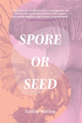 Book cover for Spore or Seed