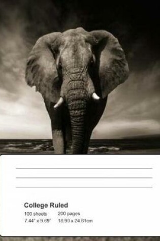 Cover of Elephant Composition Book