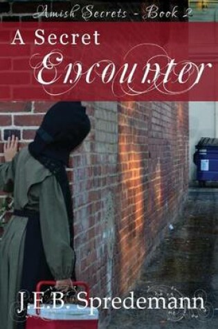 Cover of A Secret Encounter
