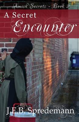 Book cover for A Secret Encounter