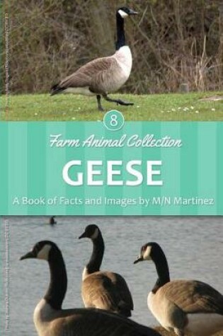 Cover of Geese