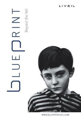 Book cover for Blueprint