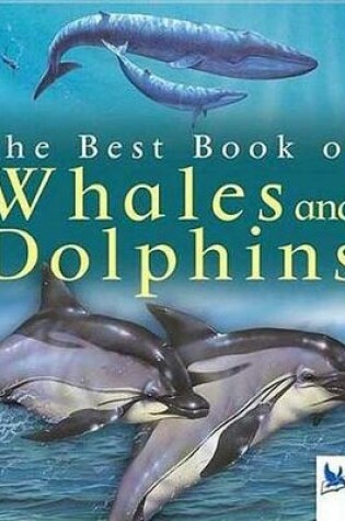 Cover of My Best Book of Whales and Dolphins