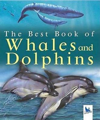 Book cover for My Best Book of Whales and Dolphins