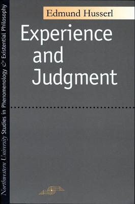 Book cover for Experience And Judgment