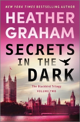 Book cover for Secrets in the Dark