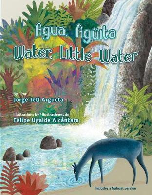Book cover for Agua, Aguita / Water, Little Water