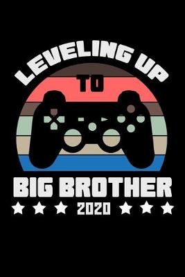 Book cover for Leveling Up to Big Brother 2020