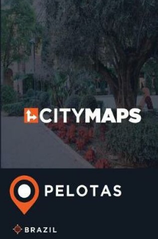 Cover of City Maps Pelotas Brazil