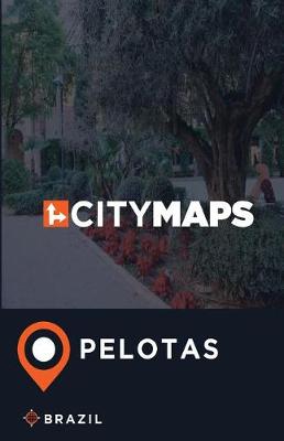 Book cover for City Maps Pelotas Brazil