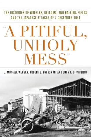 Cover of A Pitiful, Unholy Mess