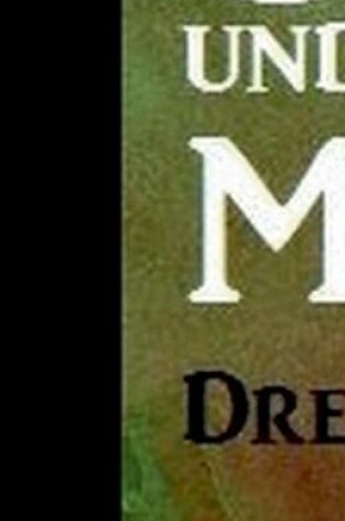Cover of Drachen, Orks und Magier