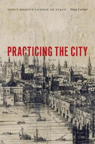 Cover of Practicing the City