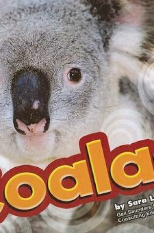 Cover of Koalas