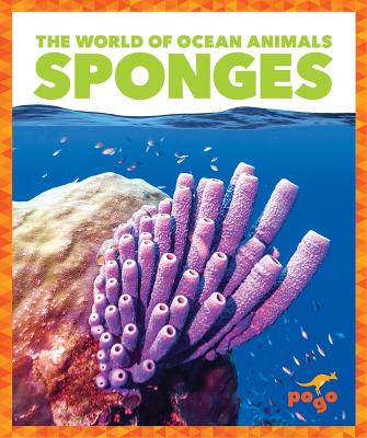 Book cover for Sponges