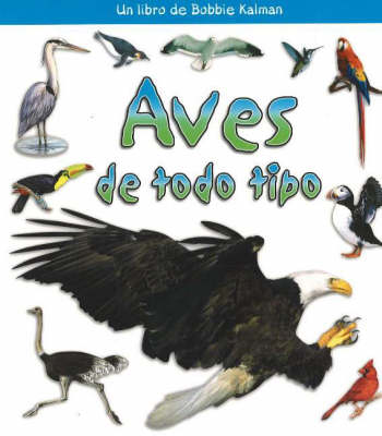 Book cover for Aves de Todo Tipo (Birds of All Kinds)