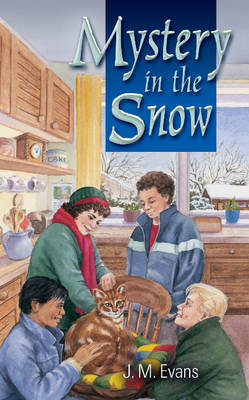 Book cover for Mystery in the Snow